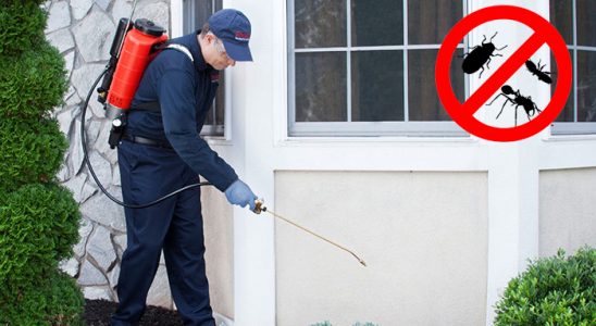 Keşan Dezenfeksiyon böcek ilaçlama ve haşere kontrolü — ilaclama-tr.com